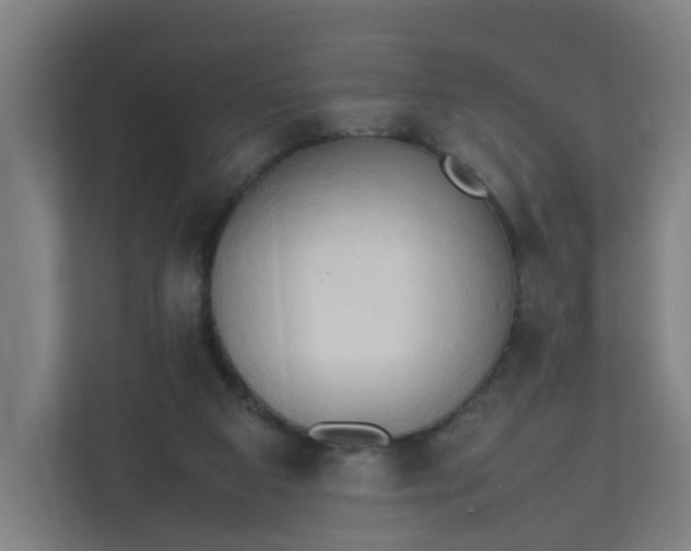 X0000111950113200908101230