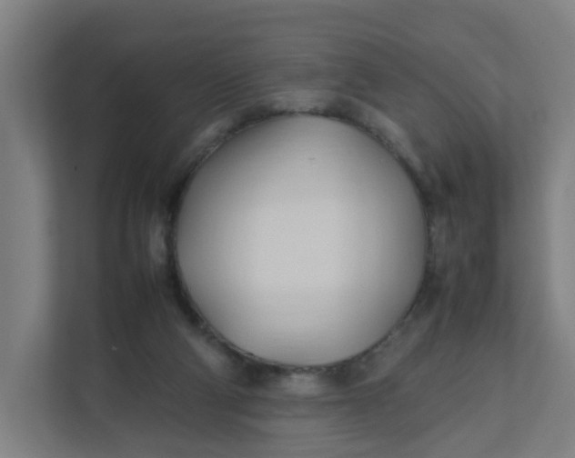 X0000111950114200908101230