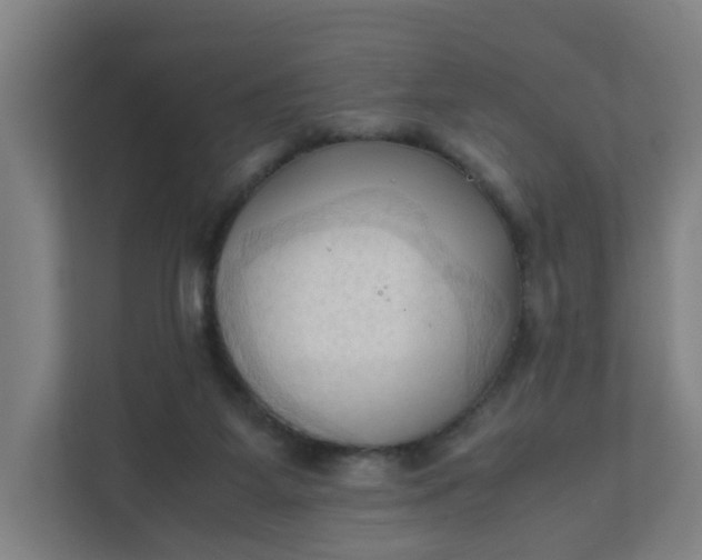 X0000111950115200908101230