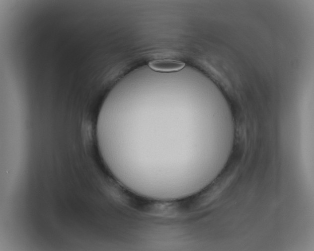 X0000111950117200908101230