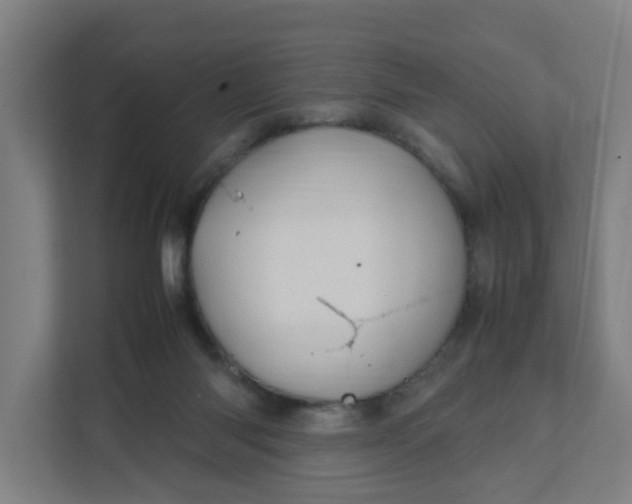 X0000111950118200908101230