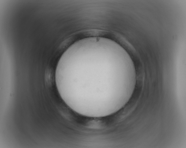 X0000111950119200908101230