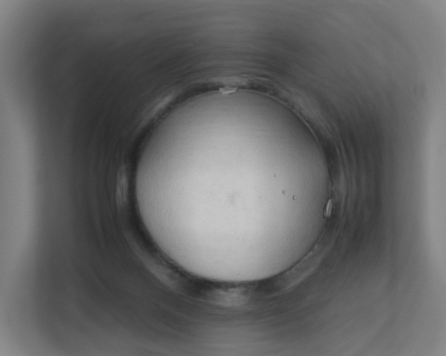 X0000111950120200908101230