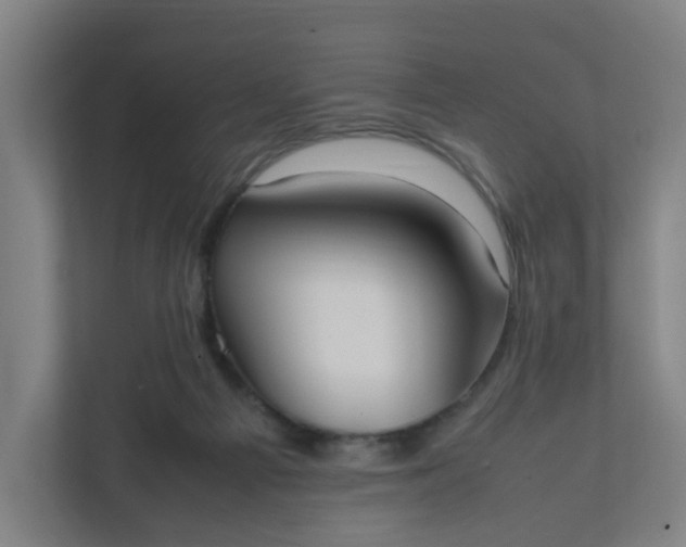 X0000111950121200908101230