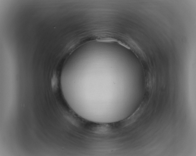 X0000111950124200908101230