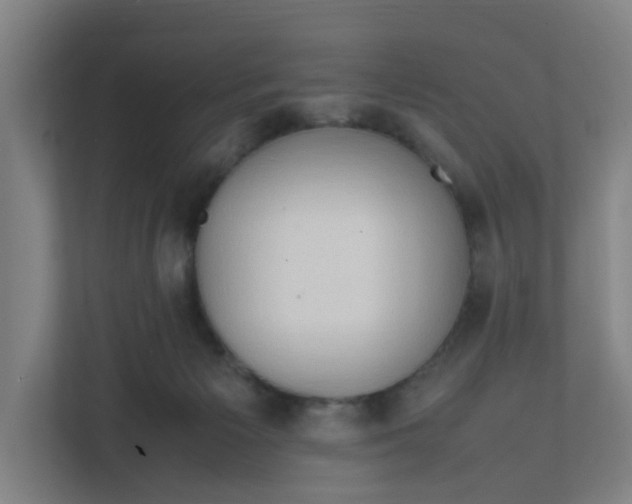 X0000111950125200908101230