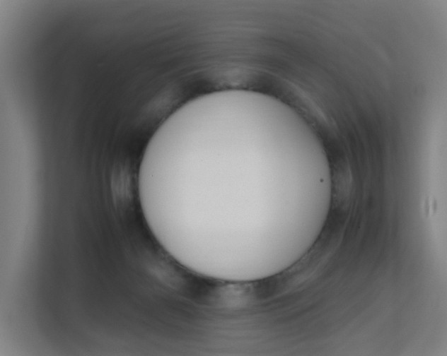 X0000111950126200908101230