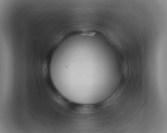 X0000111950128200908101230