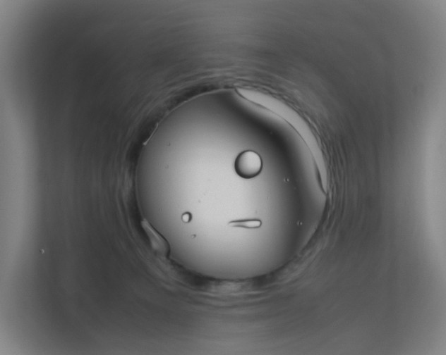 X0000111950129200908101230