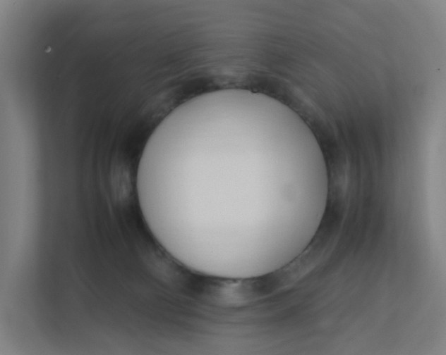 X0000111950130200908101230