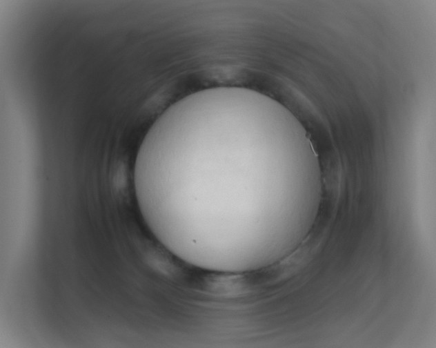 X0000111950132200908101230