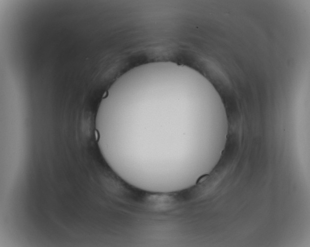 X0000111950133200908101230