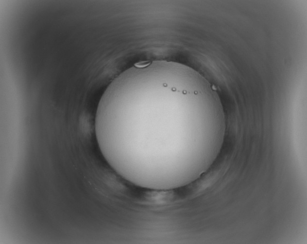 X0000111950135200908101230