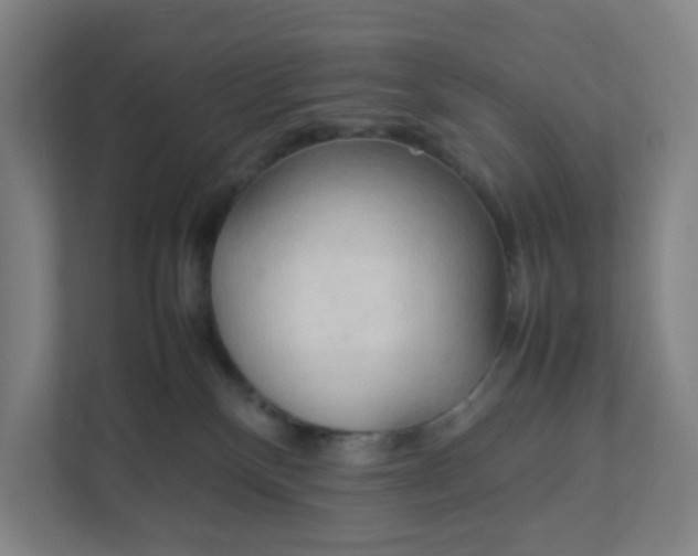 X0000111950136200908101230