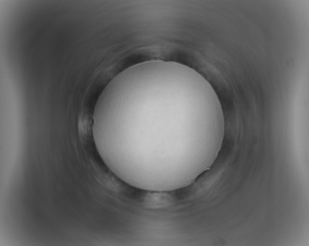 X0000111950137200908101230