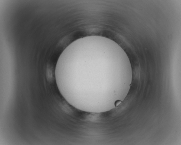 X0000111950138200908101230