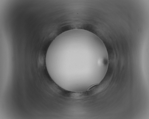 X0000111950139200908101230