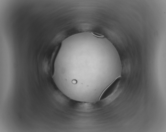 X0000111950140200908101230