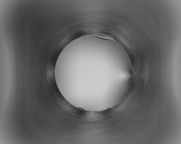 X0000111950141200908101230