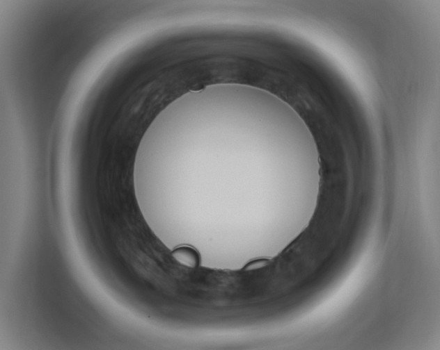 X0000111950143200908101230