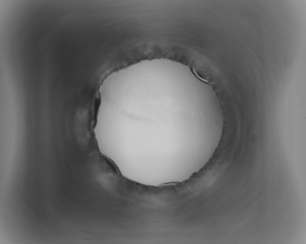 X0000111950144200908101230