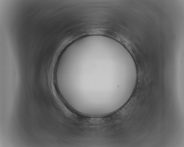 X0000111950145200908101229