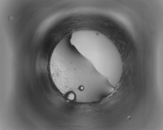 X0000111950146200908101229