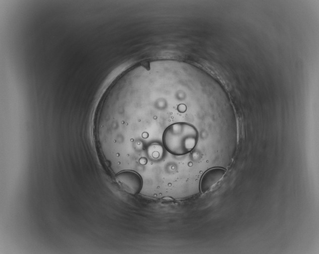 X0000111950147200908101229