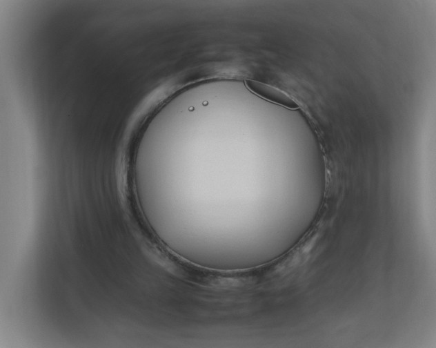 X0000111950149200908101229