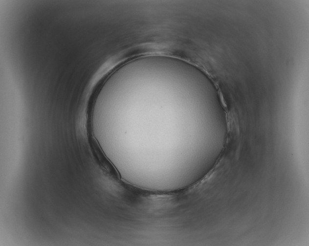 X0000111950150200908101229