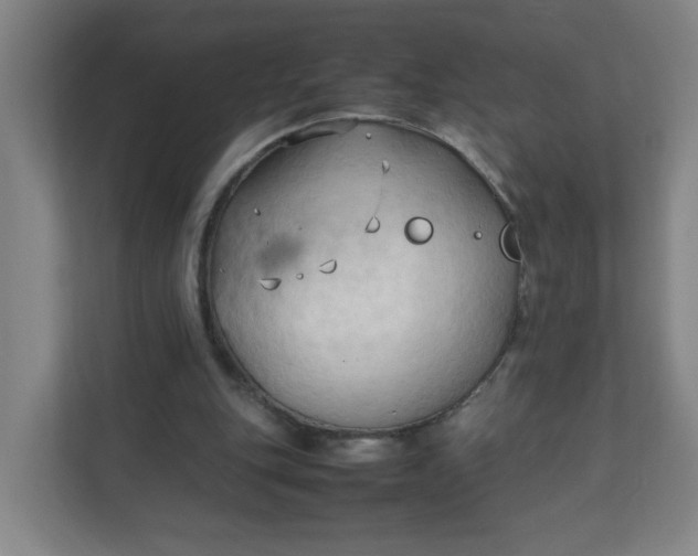 X0000111950151200908101229