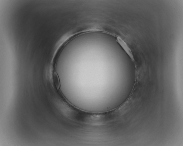 X0000111950152200908101229