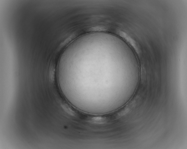 X0000111950153200908101229