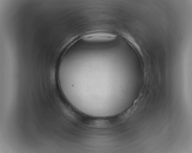 X0000111950154200908101229