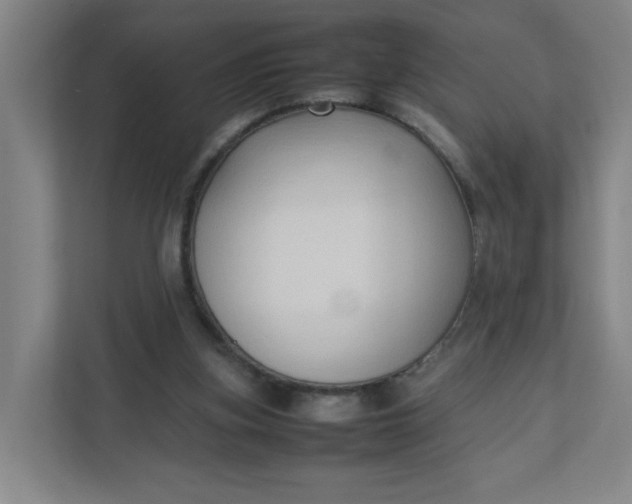 X0000111950155200908101229