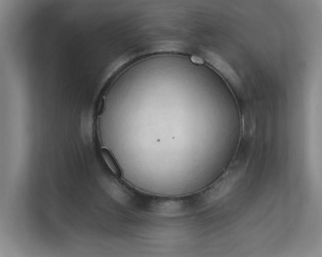 X0000111950156200908101229