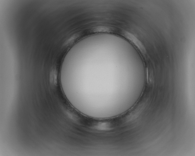 X0000111950157200908101229