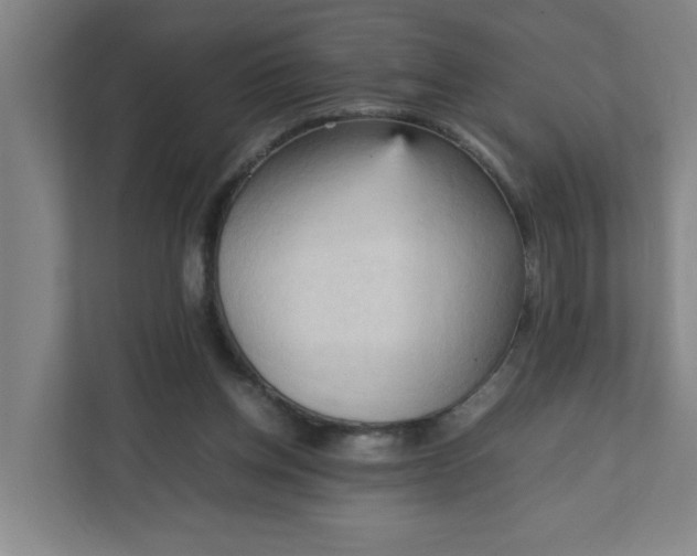 X0000111950158200908101229