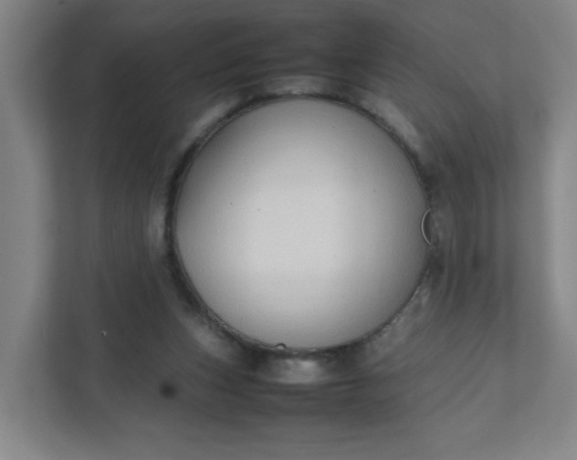 X0000111950159200908101229