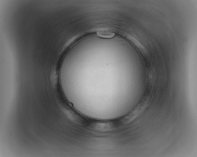 X0000111950160200908101229