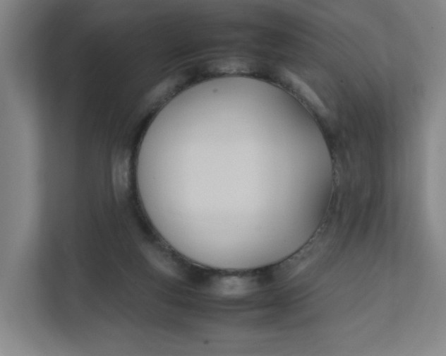 X0000111950163200908101229