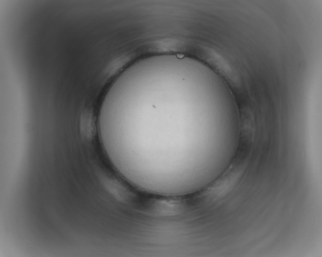 X0000111950164200908101229