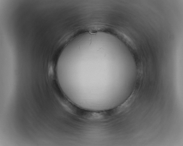 X0000111950166200908101229