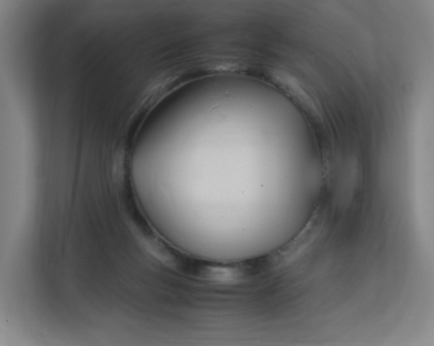 X0000111950167200908101229