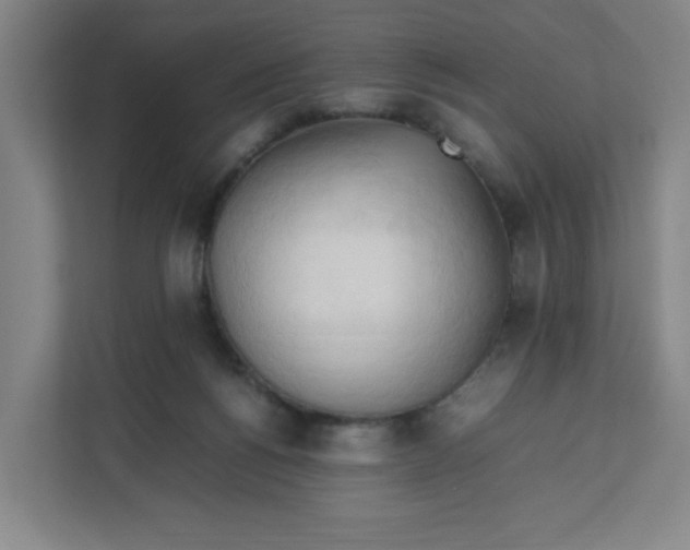 X0000111950168200908101229