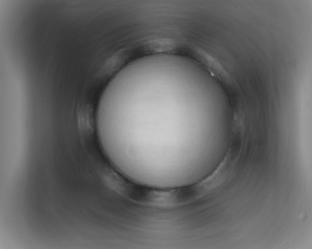 X0000111950170200908101229