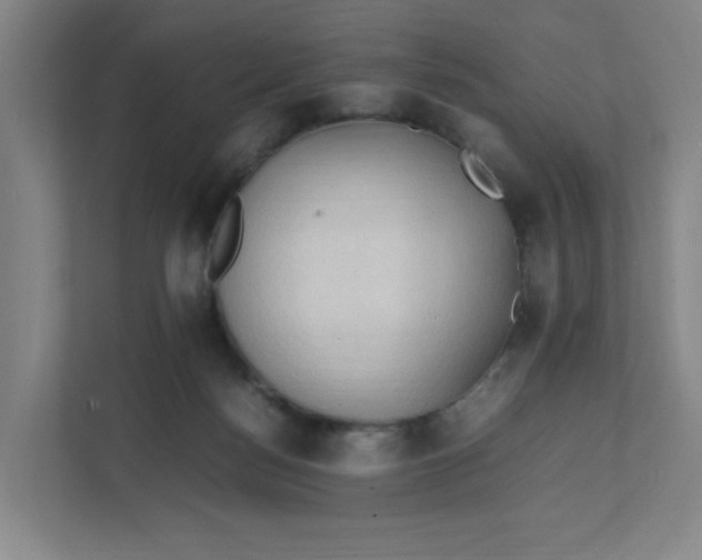 X0000111950172200908101229