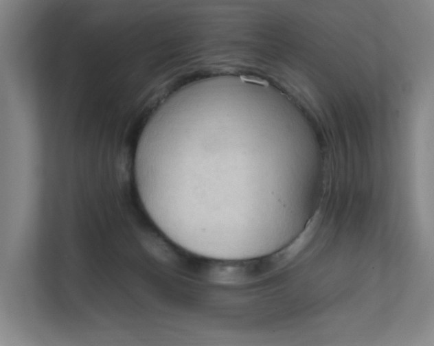 X0000111950174200908101229