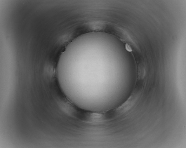 X0000111950176200908101229