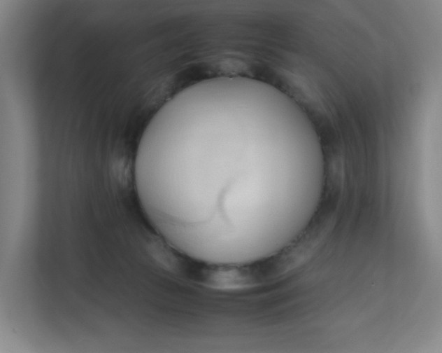 X0000111950177200908101229